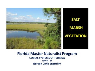 SALT
MARSH
VEGETATION
Florida Master Naturalist Program
COSTAL SYSTEMS OF FLORIDA
PROJECT BY
Noreen Corle Engstrom
 
