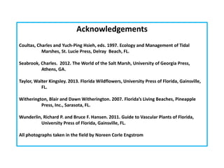 Acknowledgements
Coultas, Charles and Yuch-Ping Hsieh, eds. 1997. Ecology and Management of Tidal
Marshes, St. Lucie Press, Delray Beach, FL.
Seabrook, Charles. 2012. The World of the Salt Marsh, University of Georgia Press,
Athens, GA.
Taylor, Walter Kingsley. 2013. Florida Wildflowers, University Press of Florida, Gainsville,
FL.
Witherington, Blair and Dawn Witherington. 2007. Florida’s Living Beaches, Pineapple
Press, Inc., Sarasota, FL.
Wunderlin, Richard P. and Bruce F. Hansen. 2011. Guide to Vascular Plants of Florida,
University Press of Florida, Gainsville, FL.
All photographs taken in the field by Noreen Corle Engstrom
 