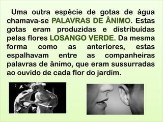 Uma outra espécie de gotas de água
chamava-se PALAVRAS DE ÂNIMO. Estas
gotas eram produzidas e distribuídas
pelas flores LOSANGO VERDE. Da mesma
forma como as anteriores, estas
espalhavam entre as companheiras
palavras de ânimo, que eram sussurradas
ao ouvido de cada flor do jardim.
 