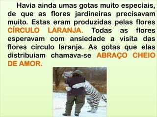 Havia ainda umas gotas muito especiais,
de que as flores jardineiras precisavam
muito. Estas eram produzidas pelas flores
CÍRCULO LARANJA. Todas as flores
esperavam com ansiedade a visita das
flores círculo laranja. As gotas que elas
distribuíam chamava-se ABRAÇO CHEIO
DE AMOR.
 