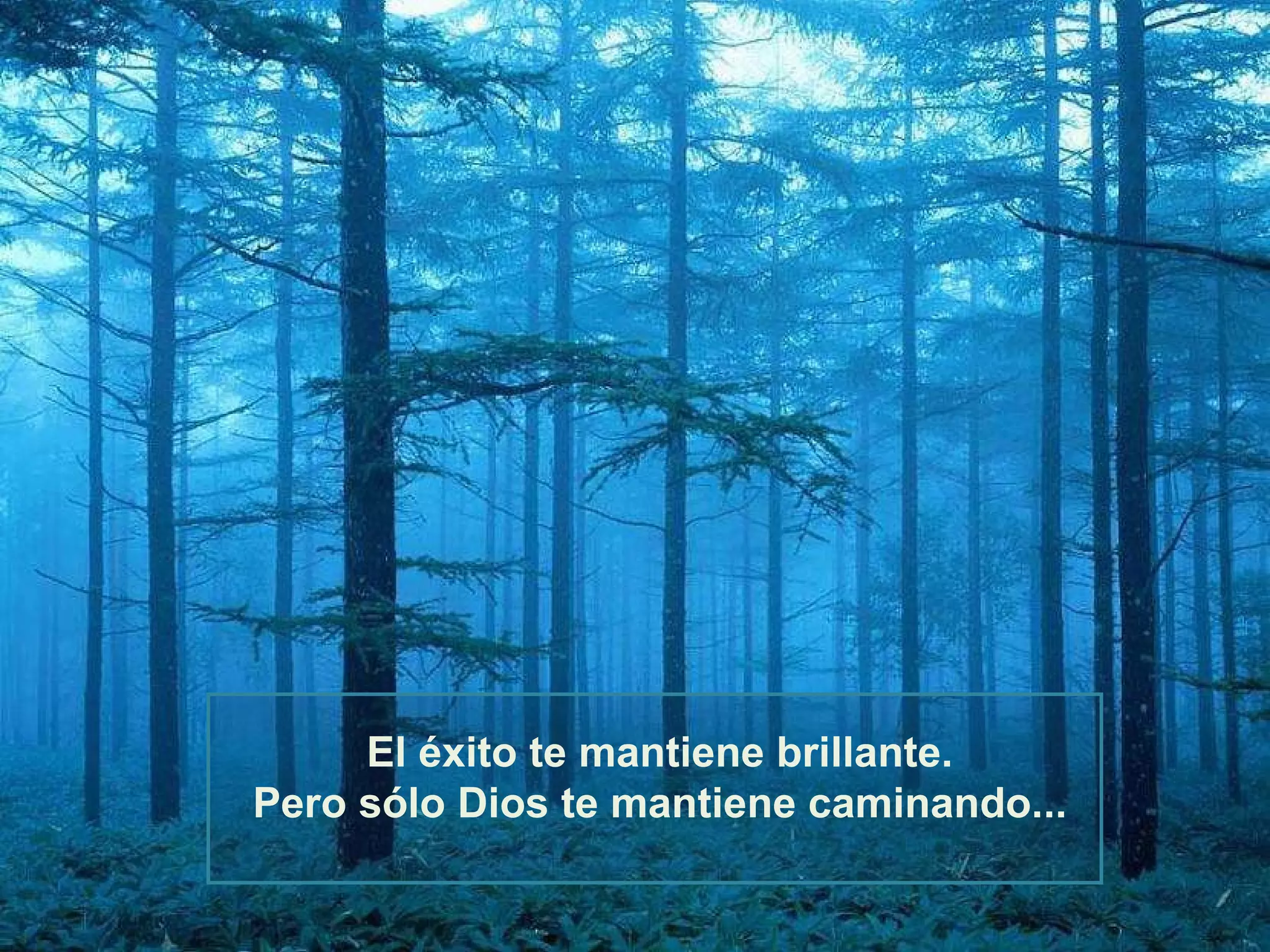 El éxito te mantiene brillante. Pero sólo Dios te mantiene caminando... 