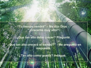 “Tu tiempo vendrá” – Me dijo Dios   –
              “¡Crecerás muy alto!”

       ¿Que tan alto debo crecer? Pregunté.

“¿Qué tan alto crecerá el bambú?” - Me preguntó en
                    respuesta.

        ¿Tan alto como pueda? Indagué.
 