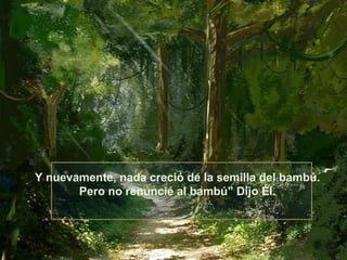 Y nuevamente, nada creció de la semilla del bambú.
       Pero no renuncié al bambú” Dijo Él.
 