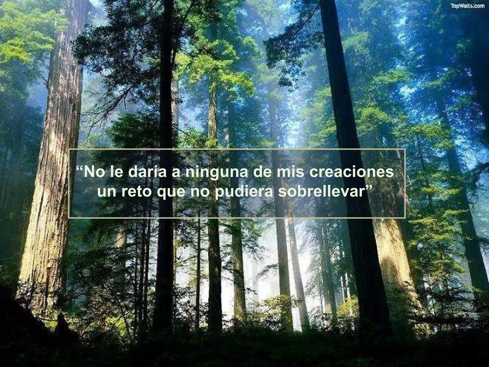 “ No le daría a ninguna de mis creaciones un reto que no pudiera sobrellevar” 