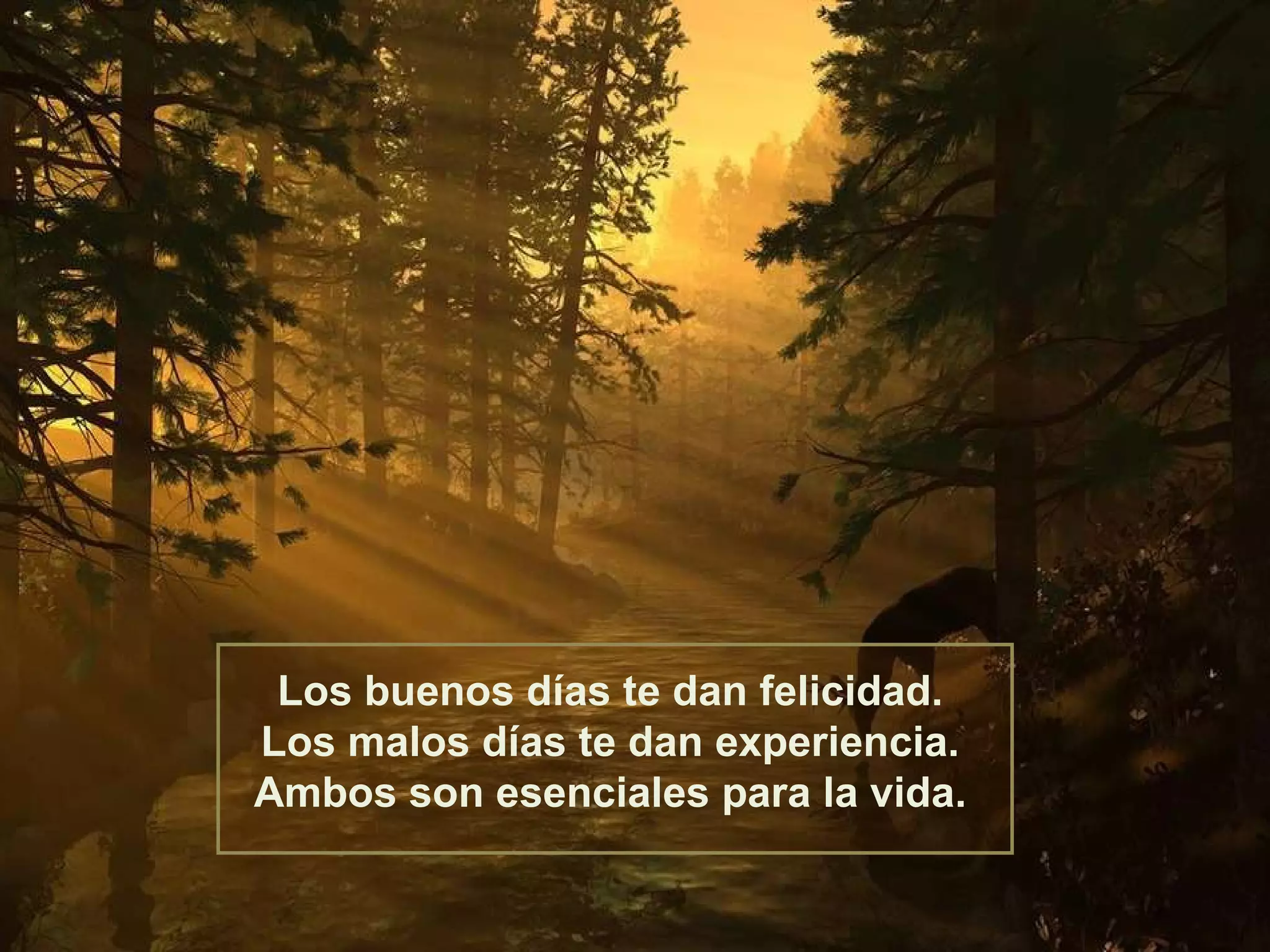 Los buenos días te dan felicidad. Los malos días te dan experiencia. Ambos son esenciales para la vida. 