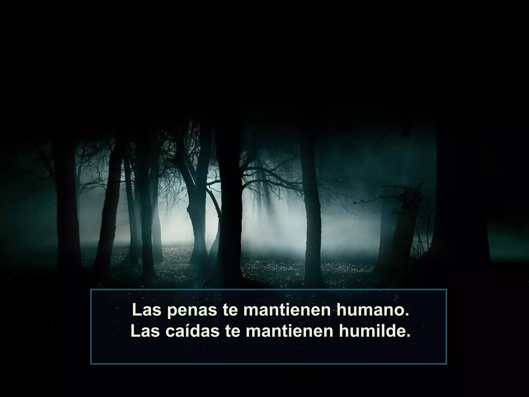 Las penas te mantienen humano.
Las caídas te mantienen humilde.
 
