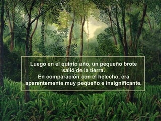 Luego en el quinto año, un pequeño brote
              salió de la tierra.
    En comparación con el helecho, era
aparentemente muy pequeño e insignificante.
 