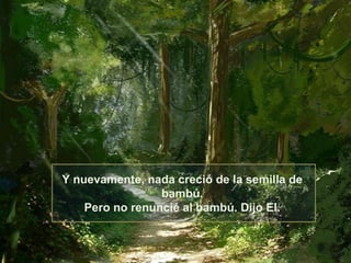 Y nuevamente, nada creció de la semilla de
                 bambú.
    Pero no renuncié al bambú. Dijo El.
 