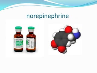 norepinephrine
 