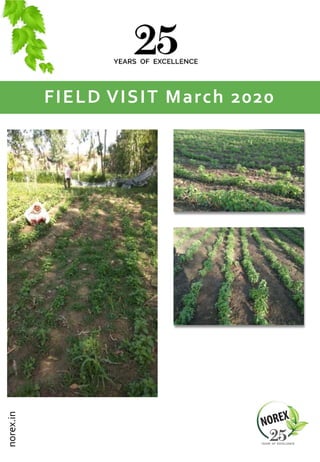 FIELD VISIT March 2020
norex.in
 