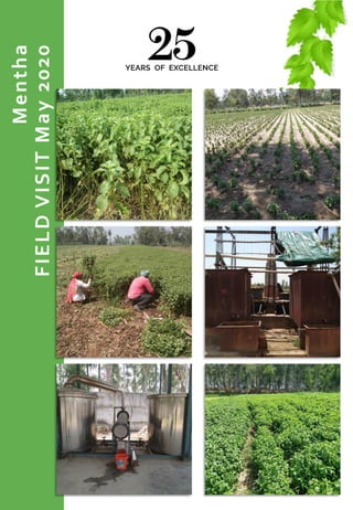 Mentha
FIELDVISITMay2020
 