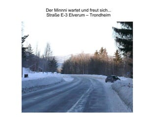 Der Minnni wartet und freut sich... Straße E-3 Elverum – Trondheim 