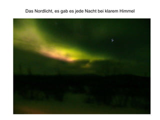 Das Nordlicht, es gab es jede Nacht bei klarem Himmel 