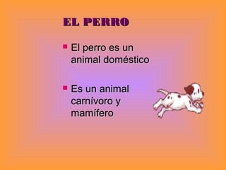 EL PERRO
El perro es un
animal doméstico
Es un animal
carnívoro y
mamífero