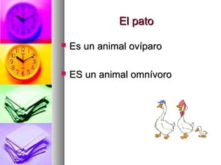 El pato

   Es un animal ovíparo

   ES un animal omnívoro
 