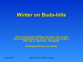 Winter on Buda-hills At the long winter holidays we were rest, we got some plus kilogramms and we have to go to take a little trip at „Normafa”, Budapest. Photographed by Ivan Szedo 