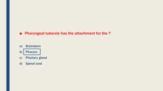 ■ Pharyngeal tubercle has the attachment for the ?
a) Brainstem
b) Pharynx
c) Pituitary gland
d) Spinal cord
 