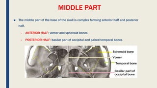 MIDDLE PART
■ The middle part of the base of the skull is complex forming anterior half and posterior
half.
– ANTERIOR HALF: vomer and sphenoid bones
– POSTERIOR HALF: basilar part of occipital and paired temporal bones
 