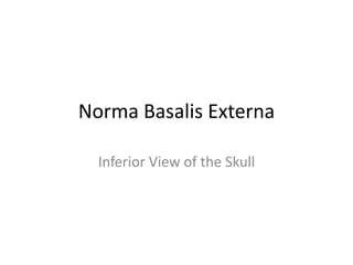 Norma Basalis Externa

  Inferior View of the Skull
 