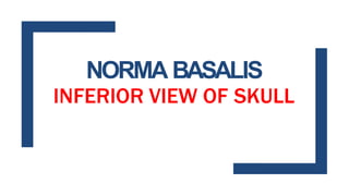 NORMA BASA
INFERIOR VIEW OF
LIS
SKULL
 