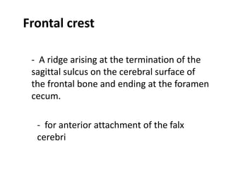 Frontal crest

 - A ridge arising at the termination of the
 sagittal sulcus on the cerebral surface of
 the frontal bone and ending at the foramen
 cecum.

  - for anterior attachment of the falx
  cerebri
 