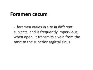 Foramen cecum

 - foramen varies in size in different
 subjects, and is frequently impervious;
 when open, it transmits a vein from the
 nose to the superior sagittal sinus.
 