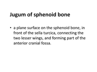Jugum of sphenoid bone

• a plane surface on the sphenoid bone, in
  front of the sella turcica, connecting the
  two lesser wings, and forming part of the
  anterior cranial fossa.
 