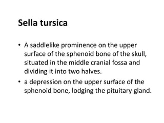 Sella tursica

• A saddlelike prominence on the upper
  surface of the sphenoid bone of the skull,
  situated in the middle cranial fossa and
  dividing it into two halves.
• a depression on the upper surface of the
  sphenoid bone, lodging the pituitary gland.
 