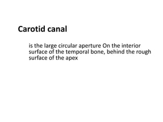 Carotid canal
  is the large circular aperture On the interior
  surface of the temporal bone, behind the rough
  surface of the apex
 