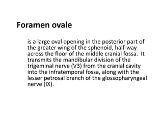 Foramen ovale
  is a large oval opening in the posterior part of
  the greater wing of the sphenoid, half-way
  across the floor of the middle cranial fossa. It
  transmits the mandibular division of the
  trigeminal nerve (V3) from the cranial cavity
  into the infratemporal fossa, along with the
  lesser petrosal branch of the glossopharyngeal
  nerve (IX).
 