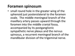 Foramen spinosum
• small round hole in the greater wing of the
  sphenoid just posterolateral to the foramen
  ovale. The middle meningeal branch of the
  maxillary artery passes upward through the
  foramen into the middle cranial fossa,
  accompanied by its postganglionic
  sympathetic nerve plexus and the nervus
  spinosus, a recurrent meningeal branch of the
  mandibular division of the trigeminal nerve.
 