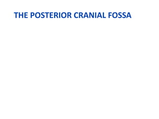 THE POSTERIOR CRANIAL FOSSA
 