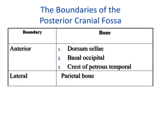 The Boundaries of the
            Posterior Cranial Fossa
     Boundary                    Bone


Anterior         1.   Dorsum sellae
                 2.   Basal occipital
                 3.   Crest of petrous temporal
Lateral             Parietal bone
 