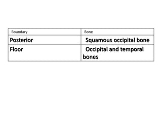Boundary    Bone

Posterior    Squamous occipital bone
Floor        Occipital and temporal
            bones
 