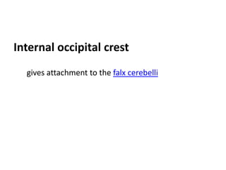 Internal occipital crest
  gives attachment to the falx cerebelli
 