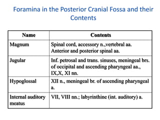 Foramina in the Posterior Cranial Fossa and their
                    Contents

     Name                              Contents
Magnum              Spinal cord, accessory n.,vertebral aa.
                    Anterior and posterior spinal aa.
Jugular             Inf. petrosal and trans. sinuses, meningeal brs.
                    of occipital and ascending pharyngeal aa.,
                    IX,X, XI nn.
Hypoglossal         XII n., meningeal br. of ascending pharyngeal
                    a.
Internal auditory   VII, VIII nn.; labyrinthine (int. auditory) a.
meatus
 