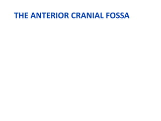 THE ANTERIOR CRANIAL FOSSA
 