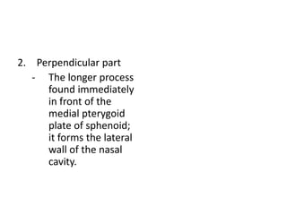 2. Perpendicular part
   - The longer process
     found immediately
     in front of the
     medial pterygoid
     plate of sphenoid;
     it forms the lateral
     wall of the nasal
     cavity.
 