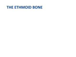 THE ETHMOID BONE
 