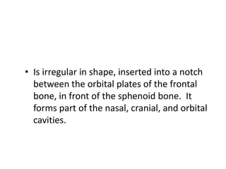 • Is irregular in shape, inserted into a notch
  between the orbital plates of the frontal
  bone, in front of the sphenoid bone. It
  forms part of the nasal, cranial, and orbital
  cavities.
 