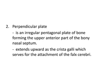 2. Perpendicular plate
   - is an irregular pentagonal plate of bone
   forming the upper anterior part of the bony
   nasal septum.
   - extends upward as the crista galli which
   serves for the attachment of the falx cerebri.
 