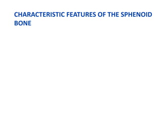 CHARACTERISTIC FEATURES OF THE SPHENOID
BONE
 