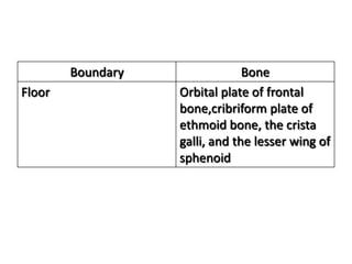 Boundary                Bone
Floor              Orbital plate of frontal
                   bone,cribriform plate of
                   ethmoid bone, the crista
                   galli, and the lesser wing of
                   sphenoid
 