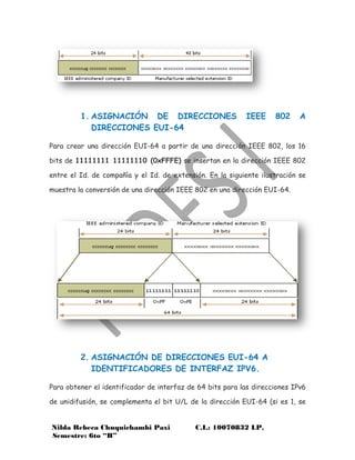 Eui 64 Examples NORMA EUI-64 | PDF