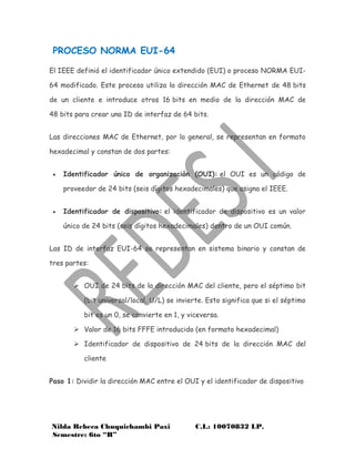 Eui 64 Examples NORMA EUI-64 | PDF