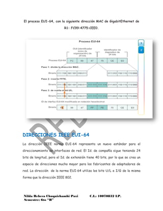 Eui 64 Examples NORMA EUI-64 | PDF
