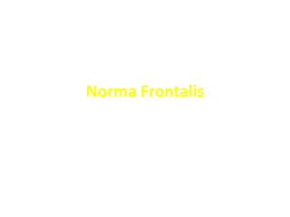 Norma Frontalis
 