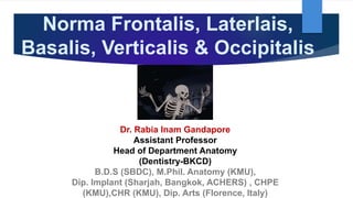 Norma Frontalis, Laterlais,
Basalis, Verticalis & Occipitalis
Dr. Rabia Inam Gandapore
Assistant Professor
Head of Department Anatomy
(Dentistry-BKCD)
B.D.S (SBDC), M.Phil. Anatomy (KMU),
Dip. Implant (Sharjah, Bangkok, ACHERS) , CHPE
(KMU),CHR (KMU), Dip. Arts (Florence, Italy)
 