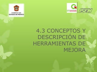 4.3 CONCEPTOS Y
 DESCRIPCIÓN DE
HERRAMIENTAS DE
         MEJORA
 