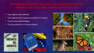 EN VENEZUELA EXISTEN VARIAS LEYES QUE FAVORECEN A NUESTRO
AMBIENTE EN EL CUAL MENCIONARE ALGUNAS DE ELLAS:
• *Ley orgánica del ambiente
• *Ley orgánica de los espacios acuáticos e insulares
• *Ley de diversidad biológica
• *Ley de protección a la fauna silvestre
 
